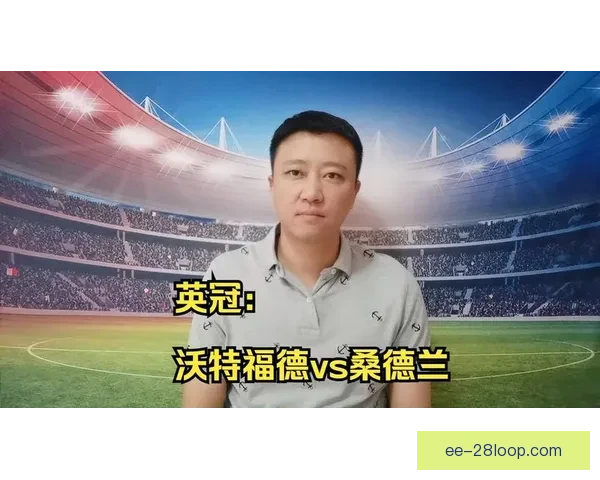 桑德兰经历风雨起伏奋力拼搏重返英冠赛场辉煌 桑德兰经历风雨起伏奋力拼搏重返英冠赛场辉煌